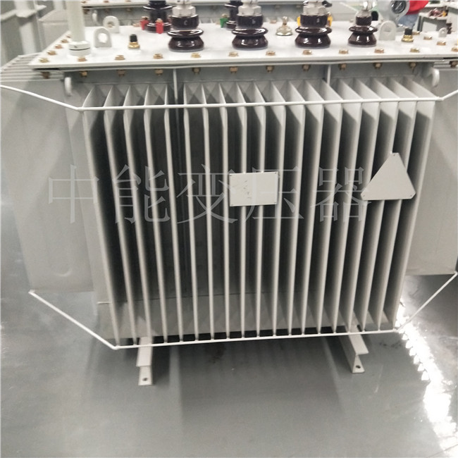 六安S20-800KVA变压器